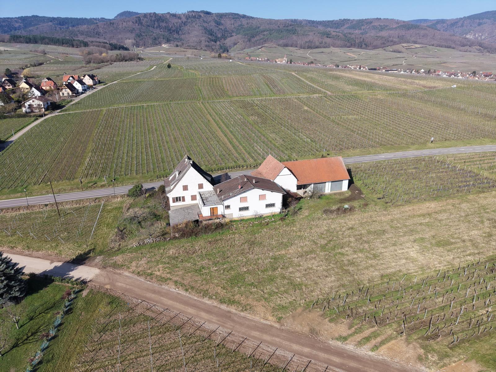 Agence immobilière de Ribo Immobilier